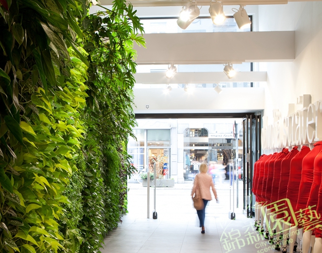 垂直绿化植物墙设计
